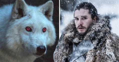 Game Of Thrones Season 8 Finale Sees Jon Snow Reunite With Ghost Metro News