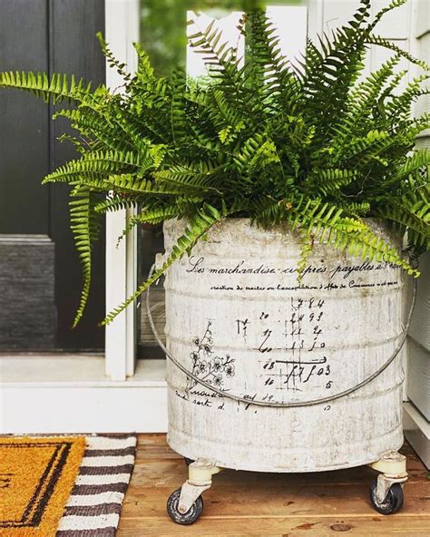 Nancy Eike On Instagram A Vintage Mop Bucket Turned Fern Planter