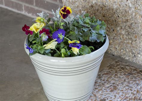 Container Gardening For Cold Weather Mississippi State University