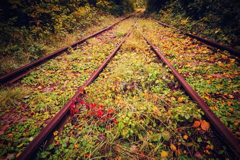 Autumn On The Railroad Stock Image Image Of Autumn Path 67103391