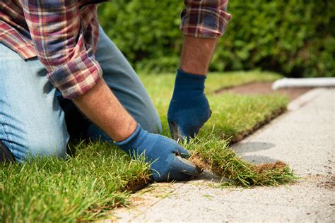 Quick And Easy Fixes For Common Lawn Problems