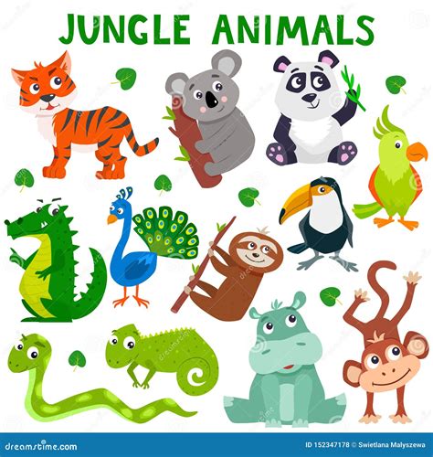 Set Of Cartoon Cute Jungle Animals Stock Illustration Illustration Of