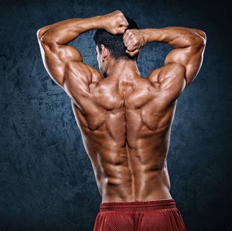 Build More Back Muscle Without Doing Any Pullups Lower Body Workout Fitness Body Back Muscles