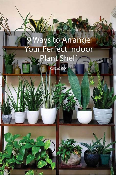 12 Creative Plant Shelf Ideas To Display Your Greenery Plants Indoor