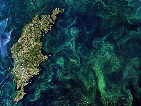 Swirling Green Algae Blooms In Baltic Sea Viewed From Space Video
