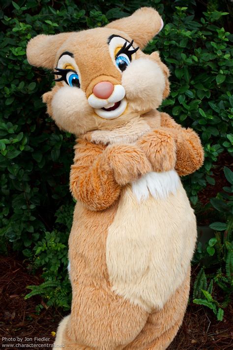 Miss Bunny At Disney Character Central