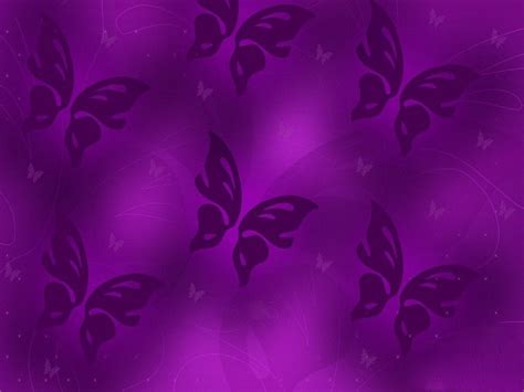 Purple Butterfly Purple Butterfly Wallpaper Border