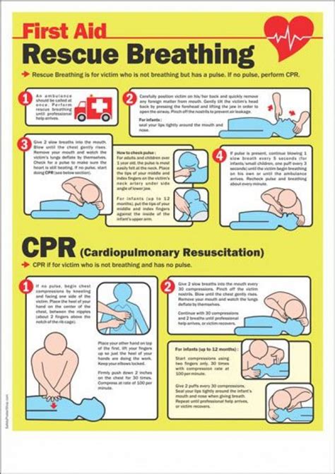 Rescue Breathing And Cpr Firstaid First Aid Cpr First Aid