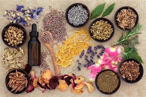 What Are The Mental And Physical Health Benefits Of Essential Oils