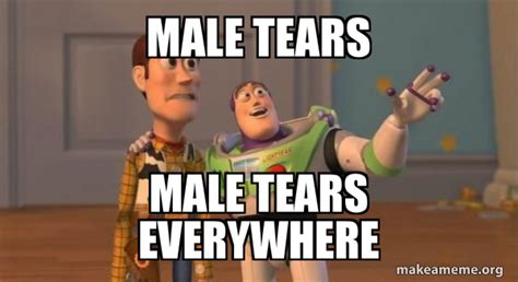 Male Tears Male Tears Everywhere Buzz And Woody Toy Story Meme
