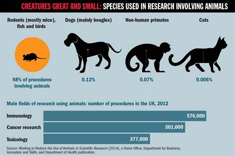 Animal testing, science, medicine, animal welfare, animal rights, ethics. Why animal researchers are ending their silence | Times Higher Education (THE)