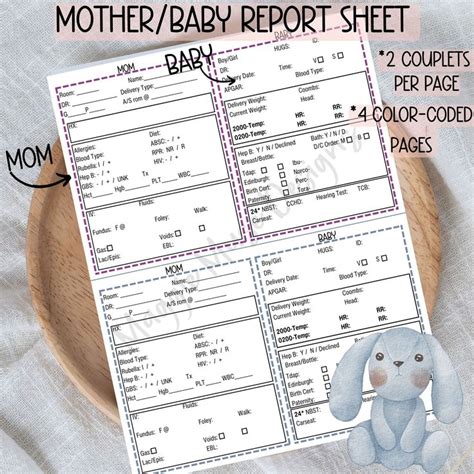 A Mother Baby Report Sheet With An Image Of A Stuffed Animal In The