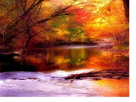 Bing Fall Wallpaper Free River Autumn Wallpaper