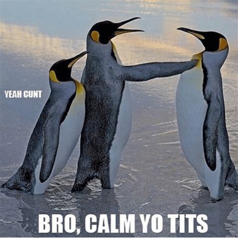 Yeah Cunt Bro Calm Yo Tits Funny Meme On Meme