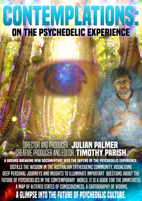 Contemplations On The Psychedelic Experience 2022