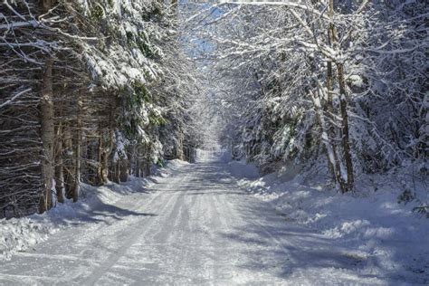 Winter Country Road Stock Image Image Of Season Snow 48332059