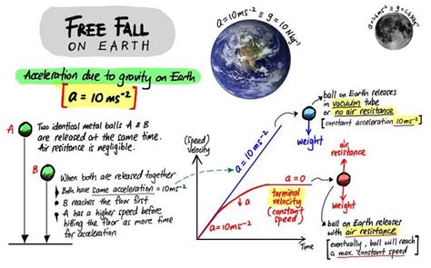 Understanding Free Fall Acceleration Due To Gravity Evans Space