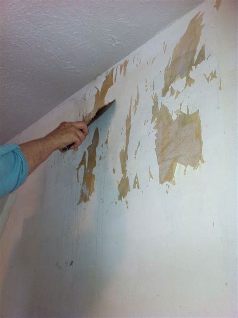 Removing Wallpaper Glue From Plaster Walls Carrotapp