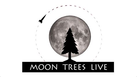 Moon Trees Live 2 — Episode 4 — Live Qanda Youtube