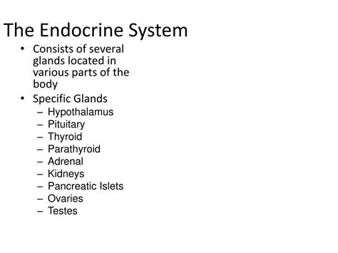Ppt Endocrine System Powerpoint Presentation Free Download Id2140284