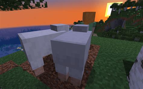 How To Tame A Sheep In Minecraft 12tails