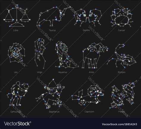 Horoscope All Zodiac Animals In Constellation Vector Image