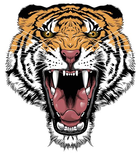 Tiger Roar Transparent Png All Png All