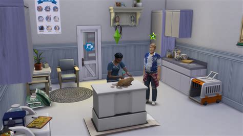 Sims 4 Cat And Dog Hospital Pilotinabox