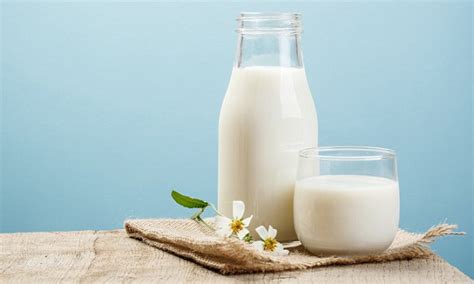 Full Fat Milk Raises Good Cholesterol Levels