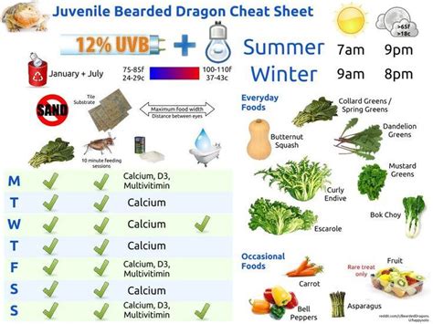 17 pet responsibility charts are collected for any of your needs. Bearded Dragon Food Chart food charts , bearded dragon and ...