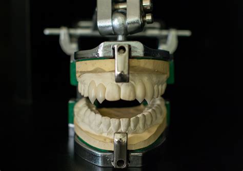 Fangsmith Custom Vampire Fangs Fang Designs