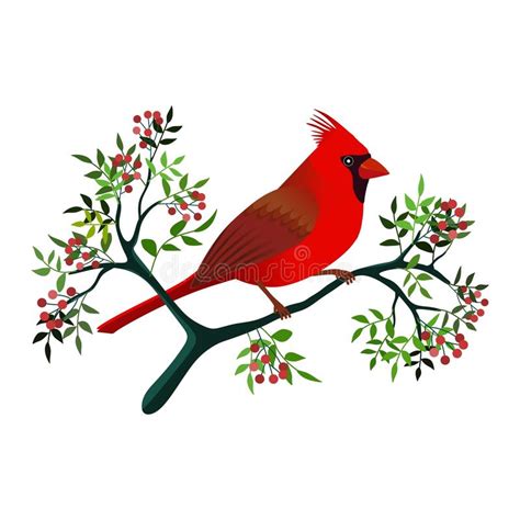 Winter Cardinal Clipart 10 Free Cliparts Download Images On