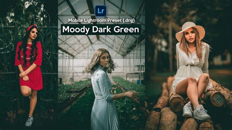 These presets give your photos a feminine editorial look that's perfect for fashion and portrait photography. Download Moody Dark Green Lightroom Mobile Presets DNG of ...