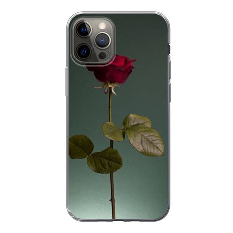 Muchowow Handyhülle Rosen Rose Rot Handyhülle Apple Iphone 12 Pro Smartphone Bumper Print