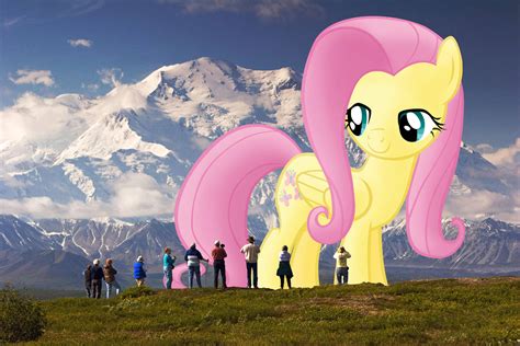 Taking In The View Giant Fluttershy At Denali By Flutterbatismagic On