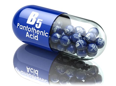 Vitamin B5 Pantothenic Acid Performadog Food