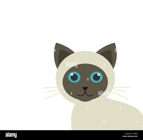 Cute Siamese Kitten Vector Illustration Stock Vector Image And Art Alamy