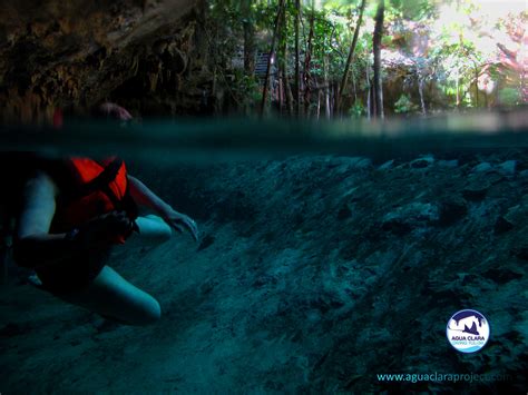 Video Of Cave Diving In Tulum A Glympse To Cave Diving