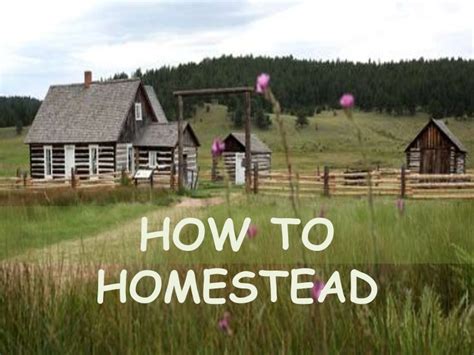 How To Homestead