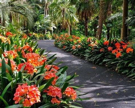 34 Lovely Tropical Garden Design Ideas Tropical Garden Design Shade