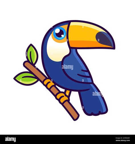 Cute Cartoon Toco Toucan Drawing Exotic Rainforest Bird