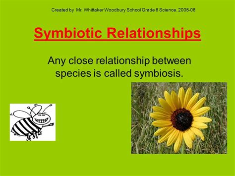 What Is Symbiotic Relationship