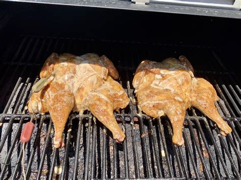 a pair of spatchcocked birds slathered with alabama white sauce r pelletgrills
