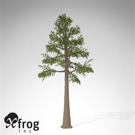 Xfrogplants Archaeopteris 3d Model Max 3ds C4d Lwo Lw Lws Ma Mb