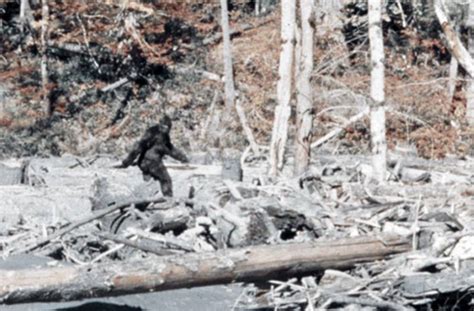 Bigfoot In Virginia Colonial Ghosts