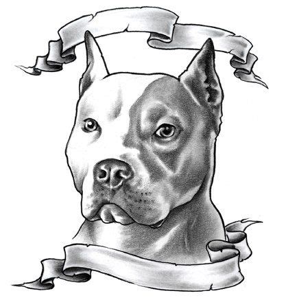 10 Pitbull Terrier Dibujo