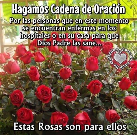 Jun 18, 2021 · sanidad notifica 4.214 contagios y 18 muertes por covid y la incidencia baja hasta los 95 puntos la incidencia acumulada registra un descenso de 0,73 puntos con respecto al dato registrado el jueves Pin en oracion por los enfermos