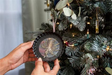 Examples of resin acids are abietic acid (sylvic acid), c 20 h 30 o 2 , plicatic acid contained in cedar, and pimaric acid , c 20 h 30 o 2 , a constituent of galipot resin. How to Make Pressed-Flower Resin Holiday Ornaments | HGTV