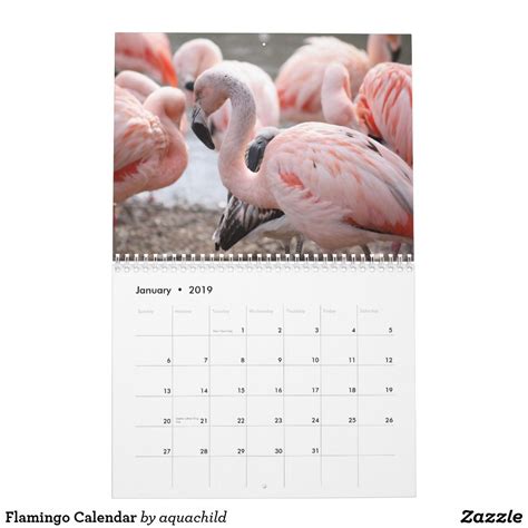 A Calendar With Pink Flamingos In The Background