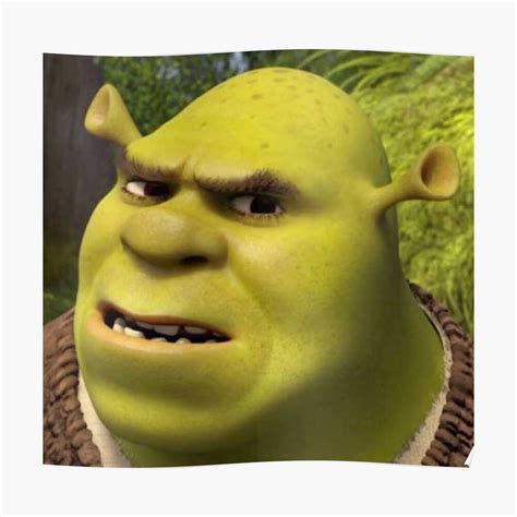 Shrek Ideas Shrek Shrek Memes Stupid Memes Vrogue